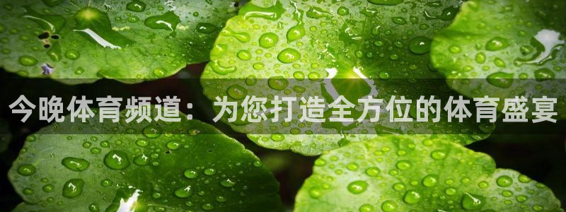 今晚体育频道：为您打造全方位的体育盛宴