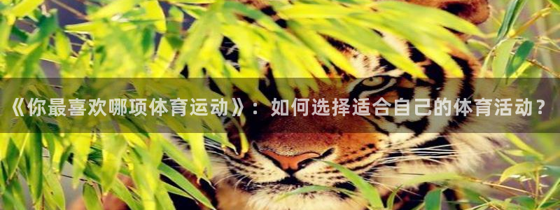《你最喜欢哪项体育运动》：如何选择适合自己的体育活动？