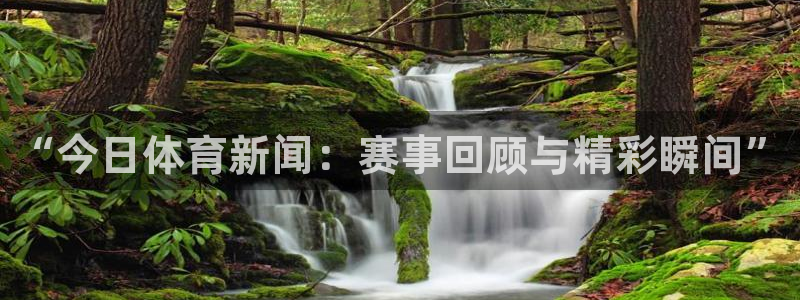 “今日体育新闻：赛事回顾与精彩瞬间”