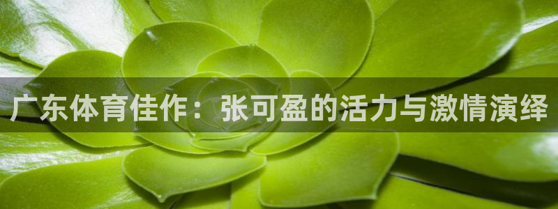 广东体育佳作：张可盈的活力与激情演绎