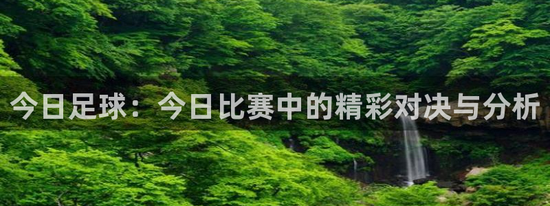 今日足球：今日比赛中的精彩对决与分析