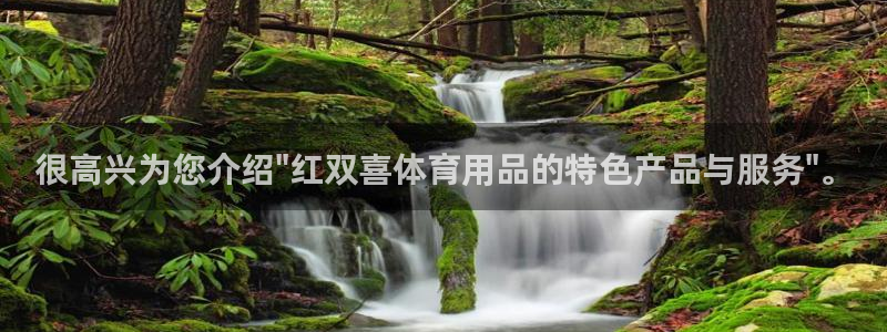 很高兴为您介绍\